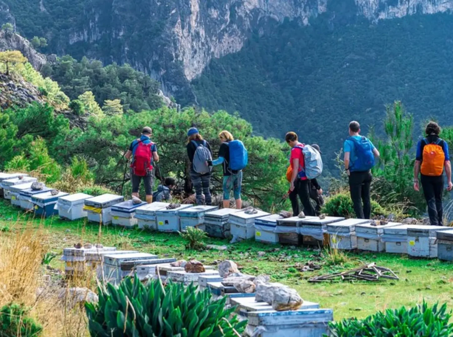 Lycian Way & Fethiye Bay Adventure_ 4