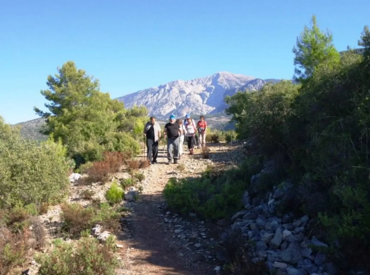 St. Paul Trail & Eastern Lycian (10)