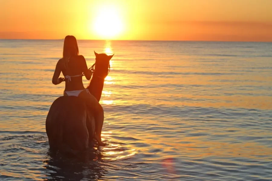 Lara Beach & Forest Horse Riding